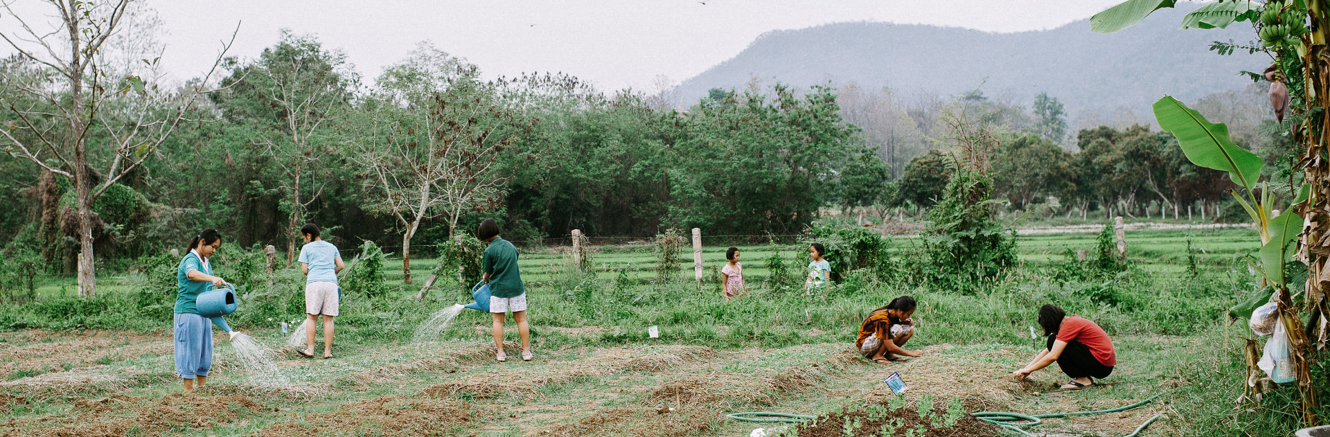 A group of people farming